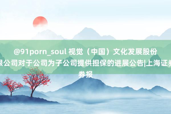 @91porn_soul 视觉（中国）文化发展股份有限公司对于公司为子公司提供担保的进展公告|上海证券报