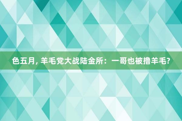 色五月， 羊毛党大战陆金所：一哥也被撸羊毛?