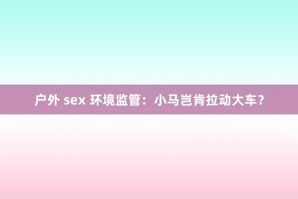 户外 sex 环境监管：小马岂肯拉动大车？