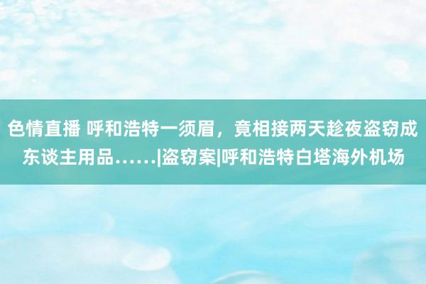 色情直播 呼和浩特一须眉，竟相接两天趁夜盗窃成东谈主用品……|盗窃案|呼和浩特白塔海外机场