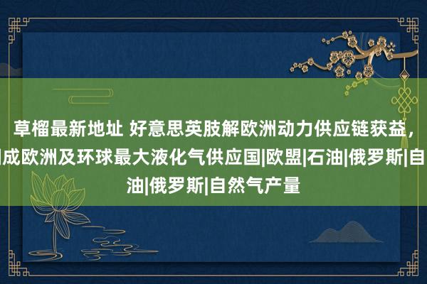 草榴最新地址 好意思英肢解欧洲动力供应链获益，好意思国成欧洲及环球最大液化气供应国|欧盟|石油|俄罗斯|自然气产量