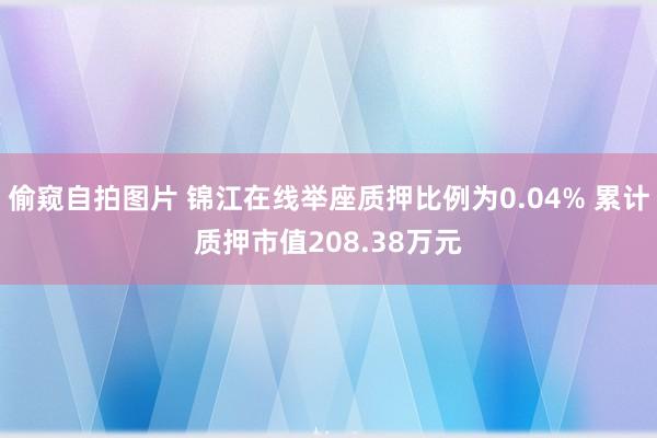 偷窥自拍图片 锦江在线举座质押比例为0.04% 累计质押市值208.38万元