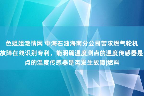 色姐姐激情网 中海石油海南分公司苦求燃气轮机排气温度传感器故障在线识别专利，能明确温度测点的温度传感器是否发生故障|燃料