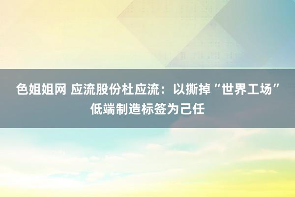 色姐姐网 应流股份杜应流：以撕掉“世界工场”低端制造标签为己任